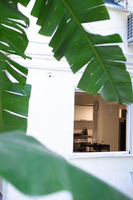 Garden Apt Apartment เอเธนส์ ภายนอก รูปภาพ